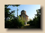 P1100810 (Medium)
